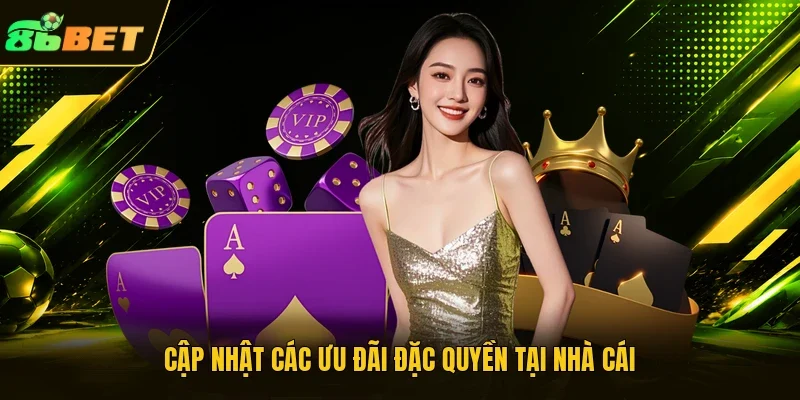 Cập nhật các ưu đãi đặc quyền tại nhà cái