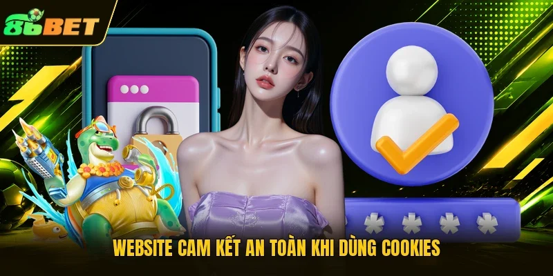 Website cam kết an toàn khi dùng cookies